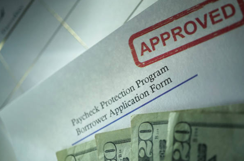 Paycheck Protection Program Borrower Application Form